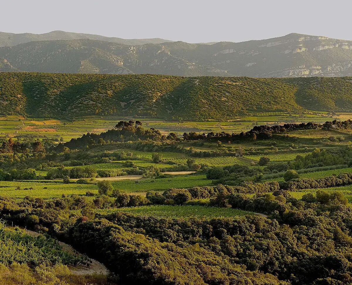 Mas de Daumas Gassac (WIP)